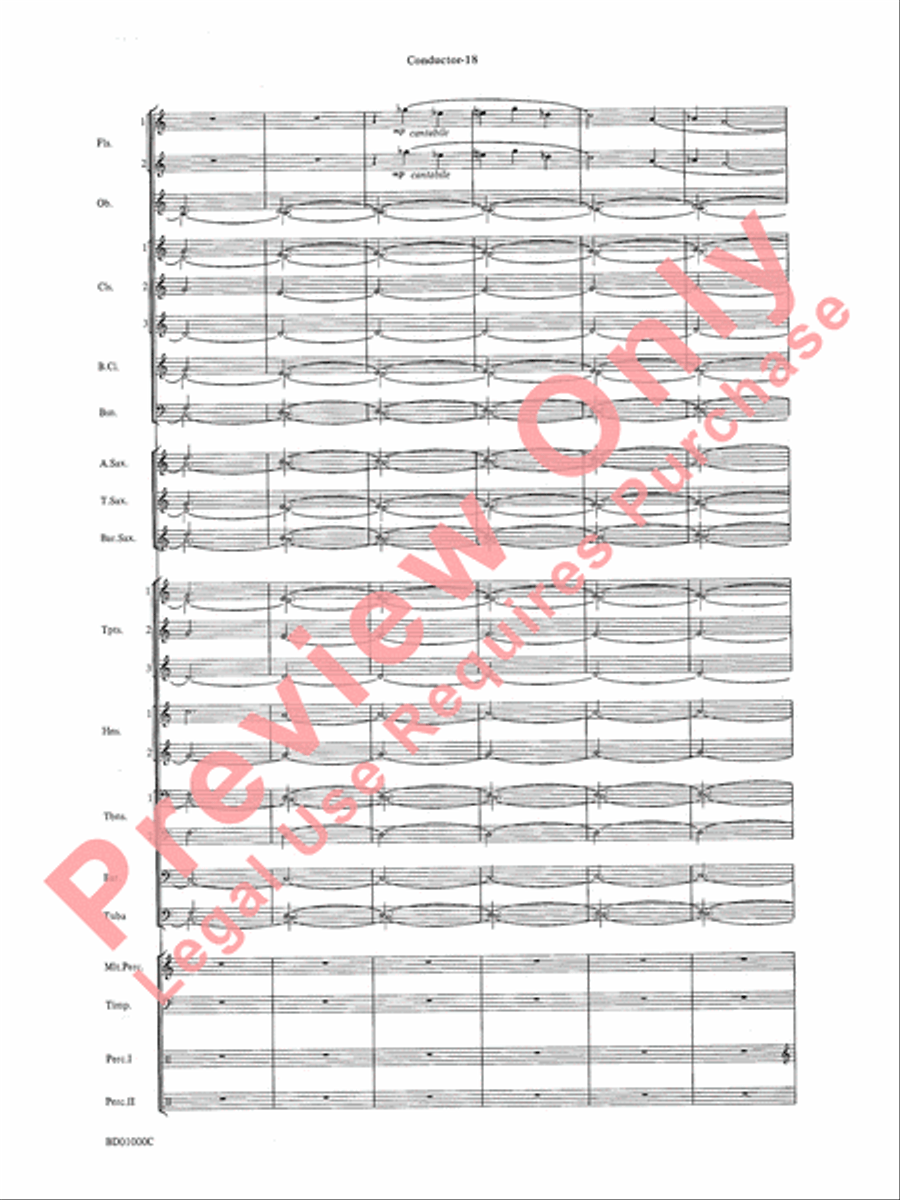 Chant Rituals Chant Rituals Concert Band scores gallery preview page 21