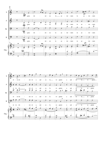 Magnus es Domine - Motet for Choir SABrB and organ image number null