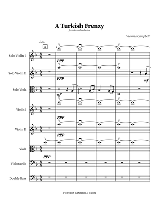 A Turkish Frenzy