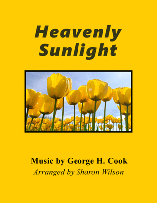 Book cover for Heavenly Sunlight