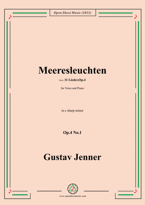 Jenner-Meeresleuchten,in c sharp minor,Op.4 No.1