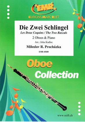 Book cover for Die Zwei Schlingel