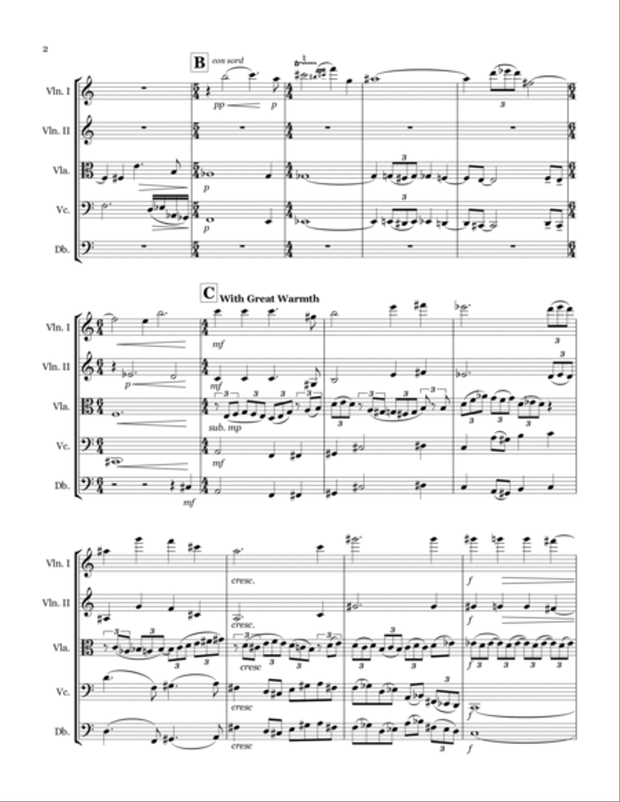 String Symphony No. 1 String Orchestra scores gallery preview page 2