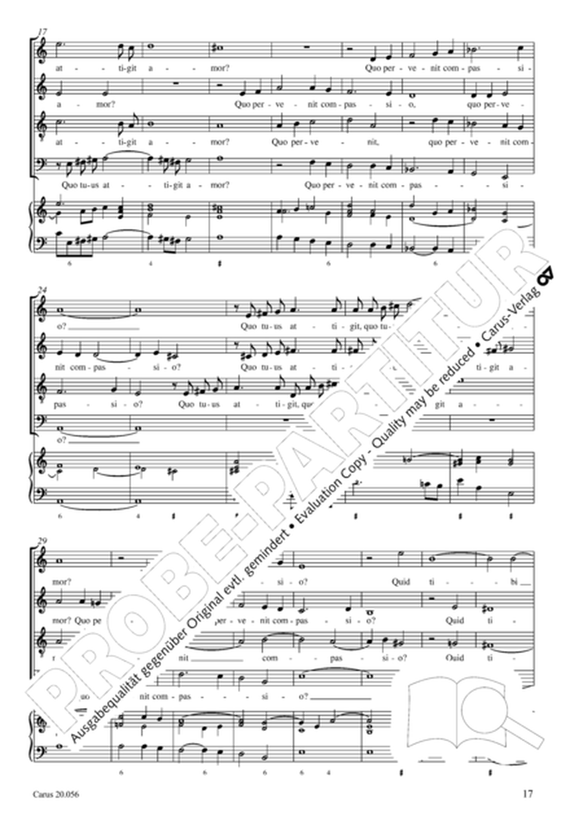 Motets for the Passion (Passionsmotetten)