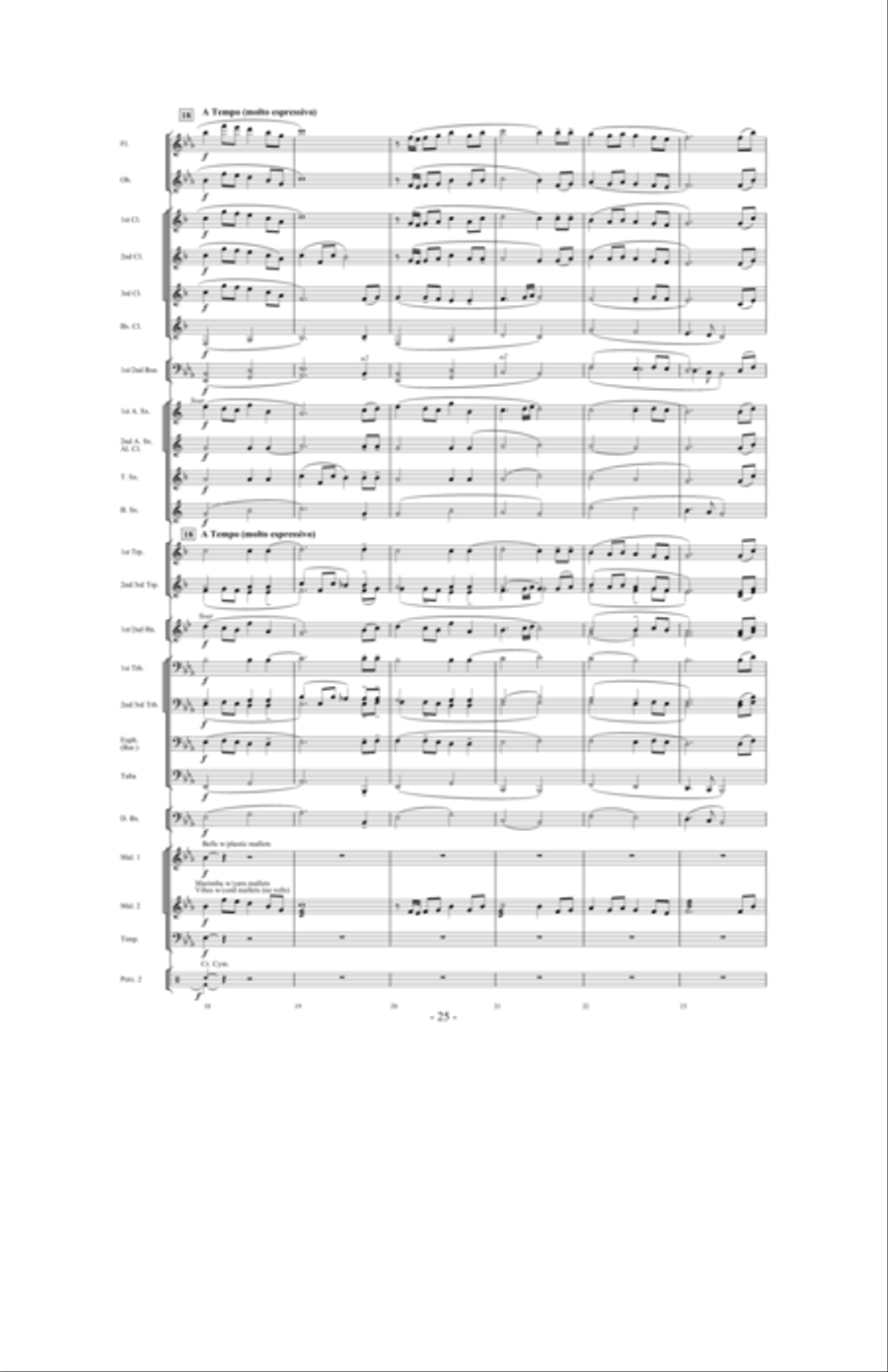 Nightflight Concert Band scores gallery preview page 24