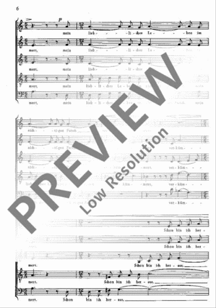 Wir haben dir Klatsch auf Geklatsche gemacht SSATB scores gallery preview page 5