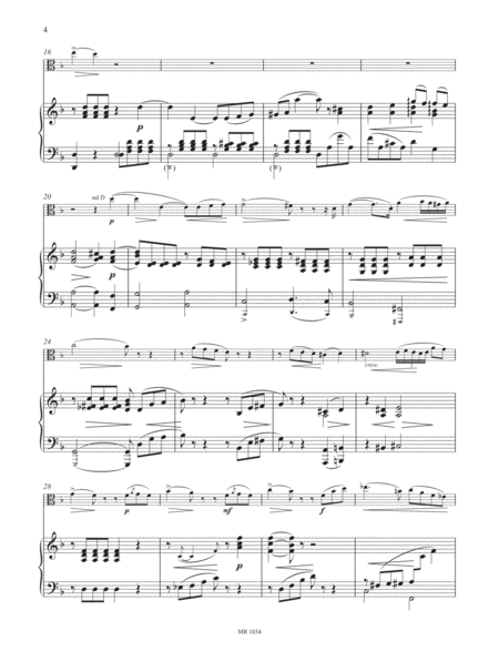 Sonata in D minor Piano Accompaniment - Sheet Music