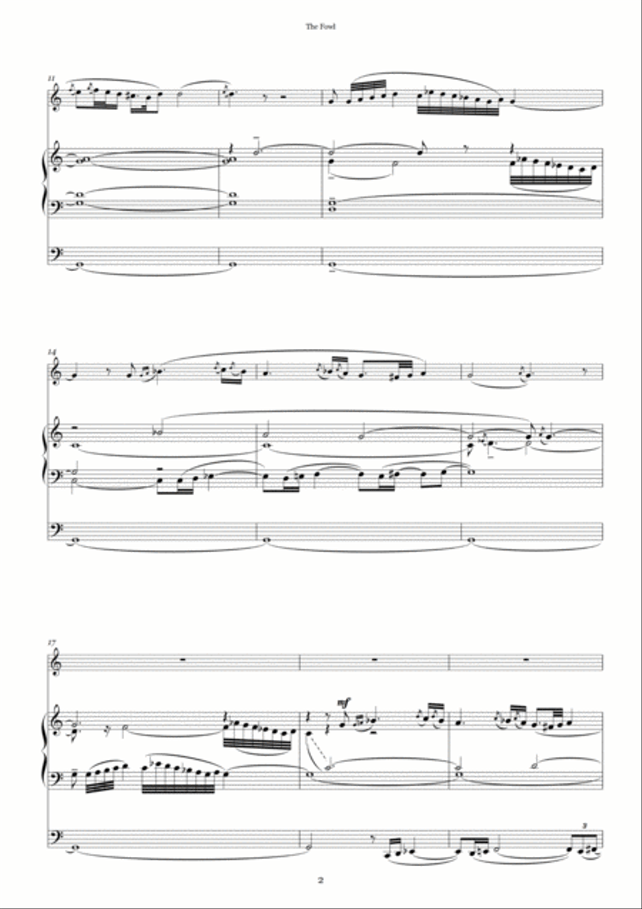 Havoun - Havoun (The Fowl) Trumpet Duet scores gallery preview page 2
