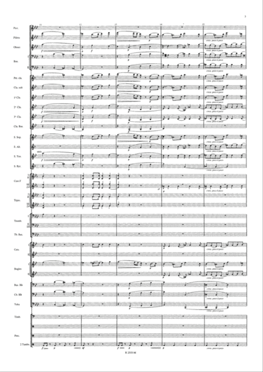 Symphonie Funebre et Triomphale Concert Band scores gallery preview page 4
