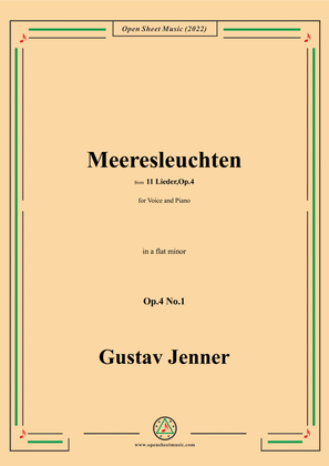 Jenner-Meeresleuchten,in a flat minor,Op.4 No.1