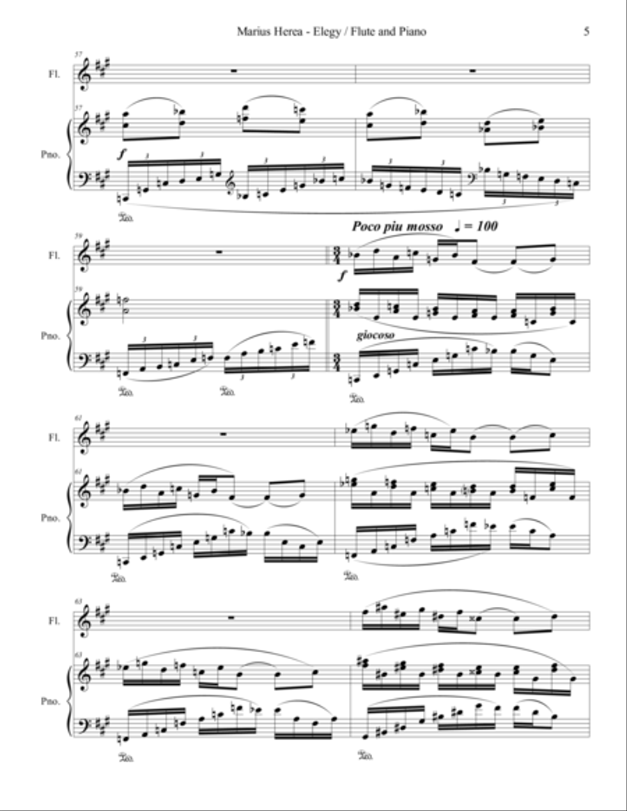 Elegy Flute Solo scores gallery preview page 5