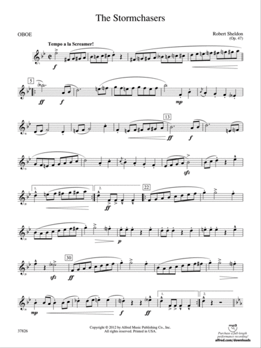The Stormchasers: Oboe The Stormchasers: Oboe Concert Band scores gallery preview page 1