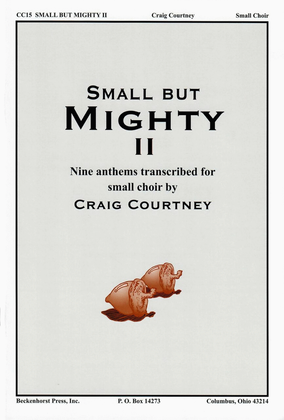 Book cover for Small But Mighty Ii