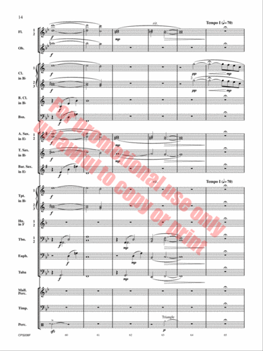 Winter Milky Way Winter Milky Way Concert Band scores gallery preview page 15
