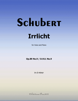Book cover for Irrlicht, by Schubert, in d minor