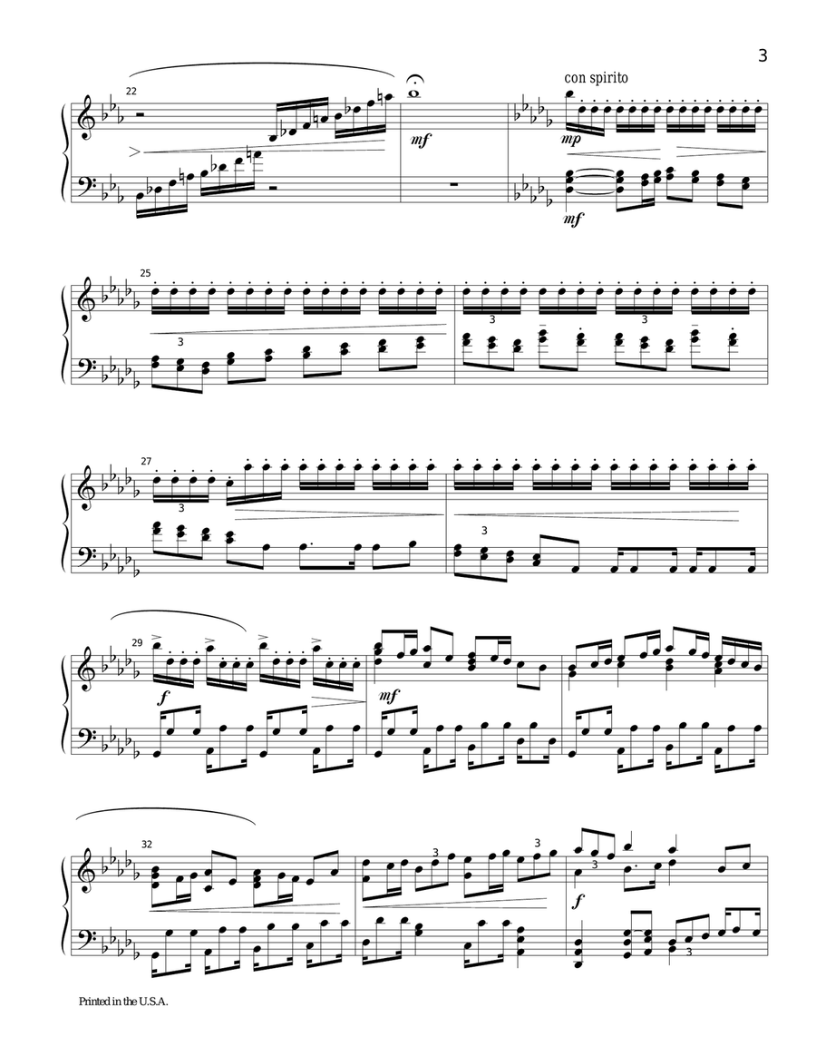 Piano Sonata No. 1 in C minor Piano Solo scores gallery preview page 3