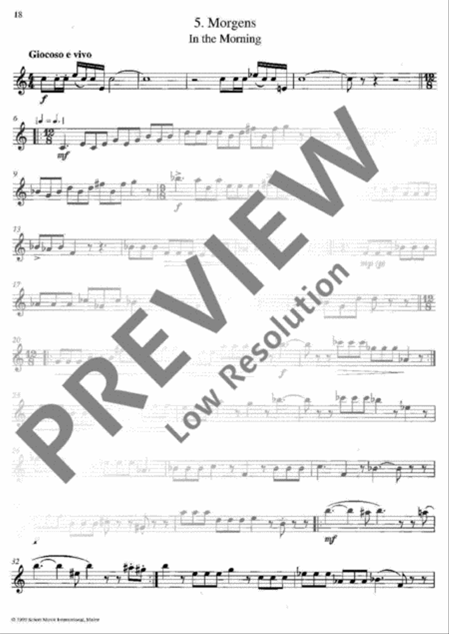 Klänge der Nacht Tenor Recorder scores gallery preview page 19