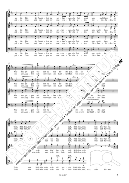 Sieben Lieder op. 62 by Johannes Brahms Choir - Sheet Music