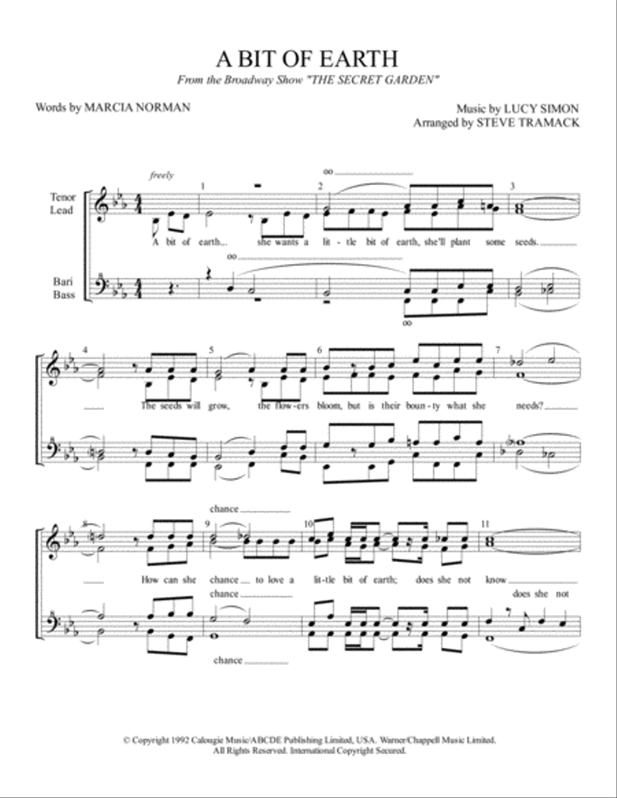 A Bit Of Earth A Bit Of Earth SSAA scores gallery preview page 1