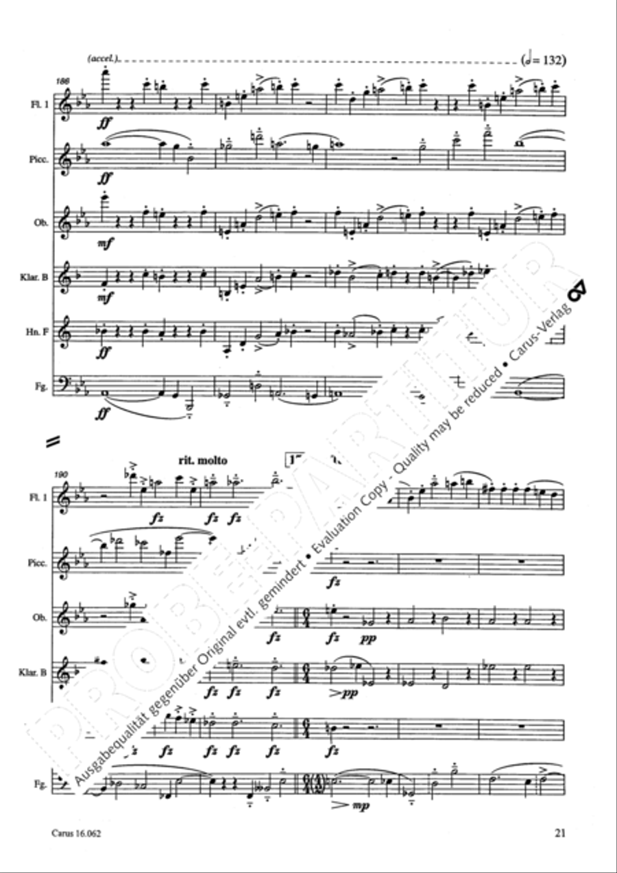 Musik fur sechs Blaser Musik fur sechs Blaser Bassoon scores gallery preview page 24