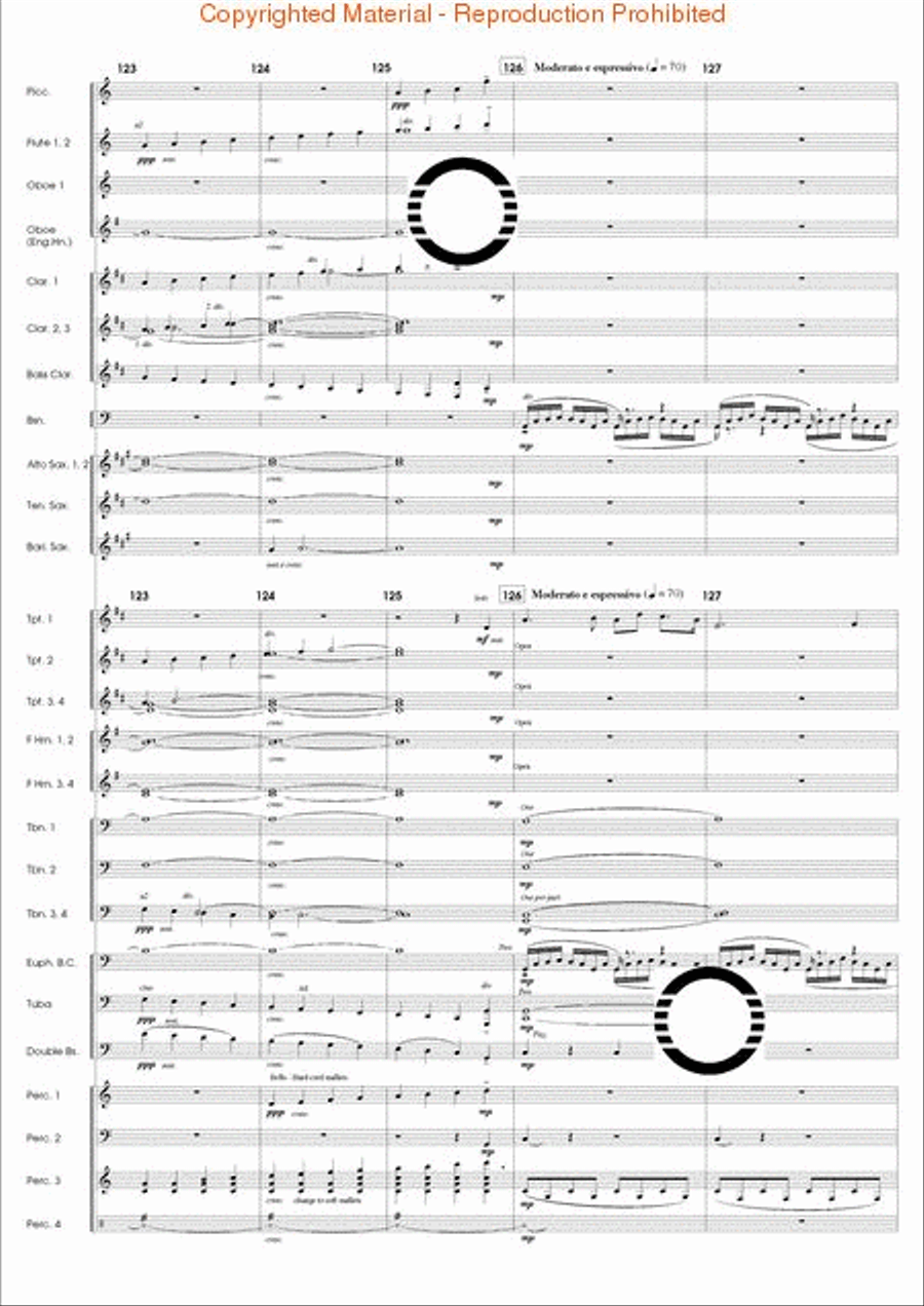 The Eagle's Flight Concert Band scores gallery preview page 25