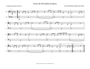 Book cover for Down By The Salley Gardens
