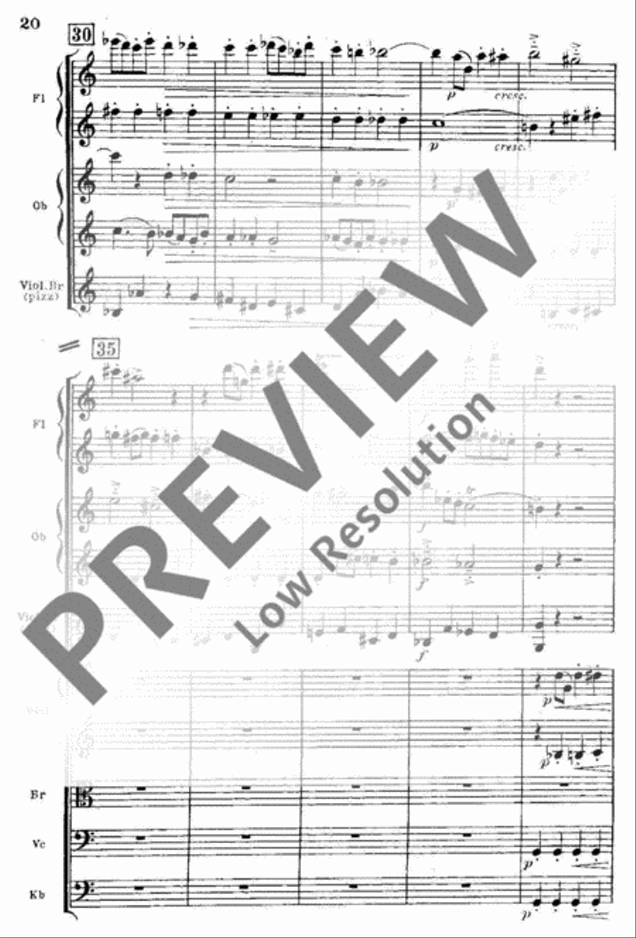 Spielmusik Spielmusik String Orchestra scores gallery preview page 21
