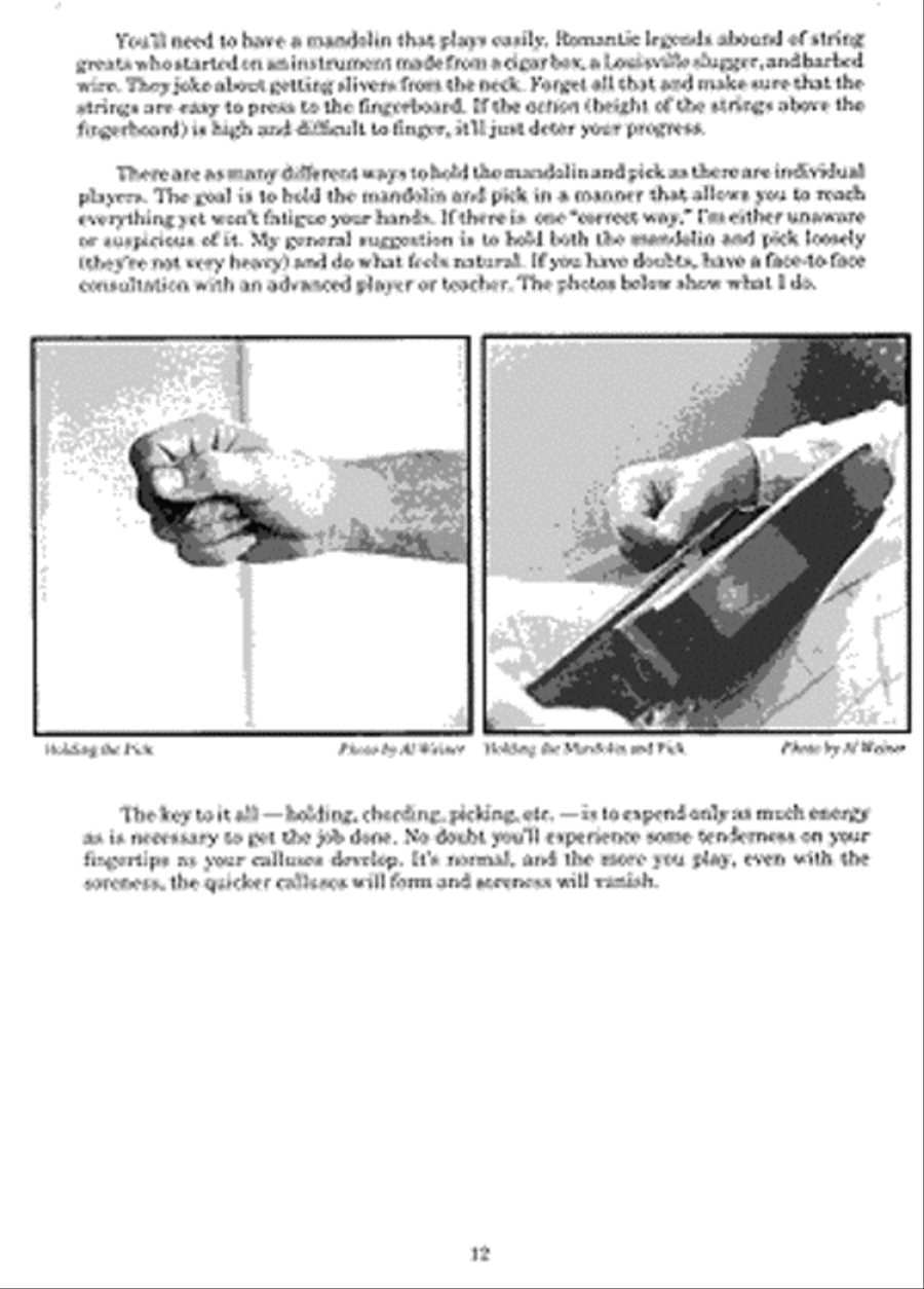 You Can Teach Yourself Mandolin Bluegrass Fiddle scores gallery preview page 3