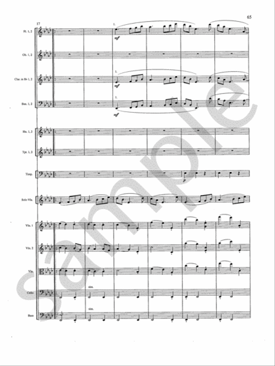 Concerto Orchestra scores gallery preview page 14