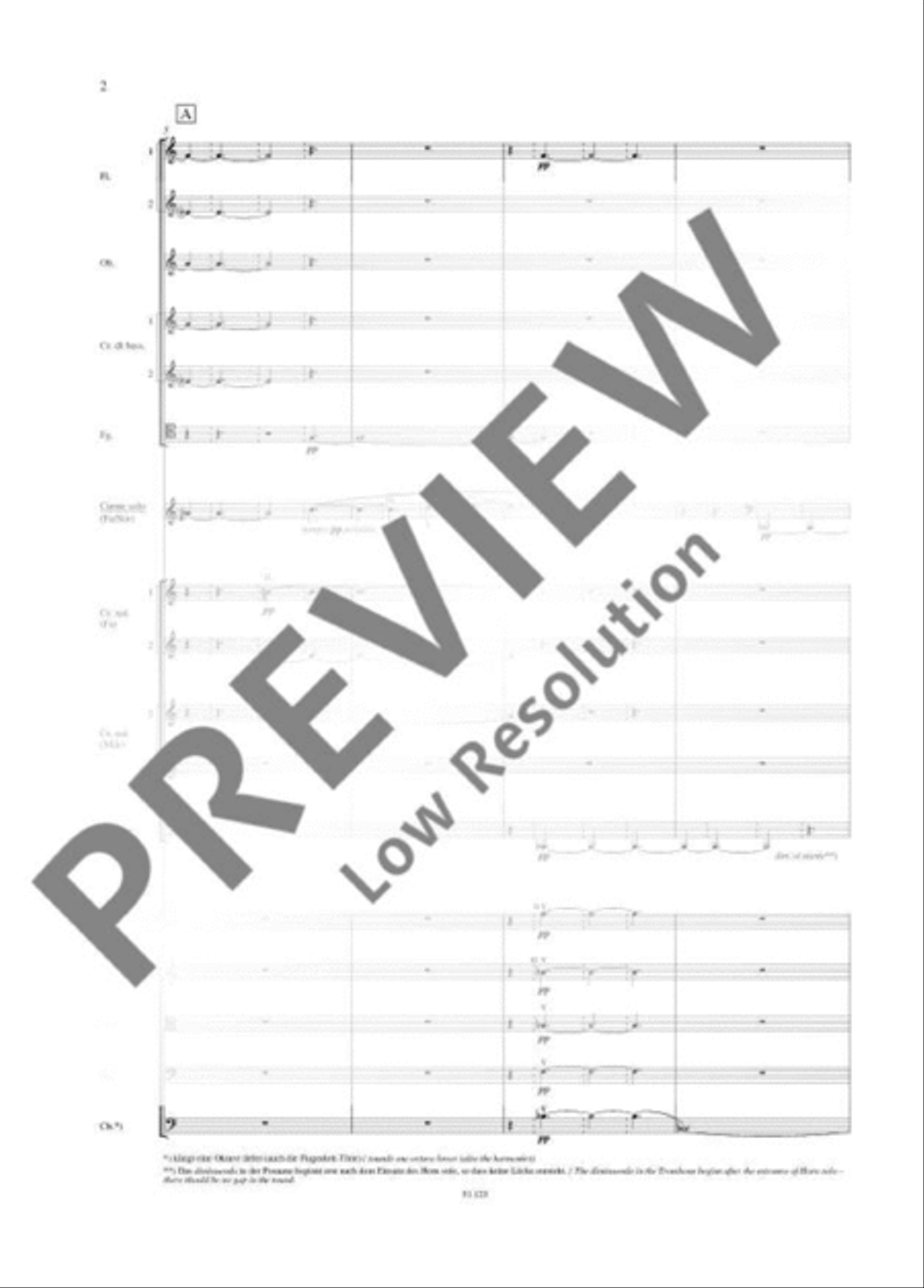 Hamburg Concerto Chamber Orchestra scores gallery preview page 13