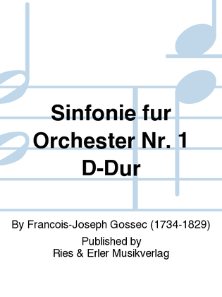 Sinfonie für Orchester Nr. 1 D-Dur