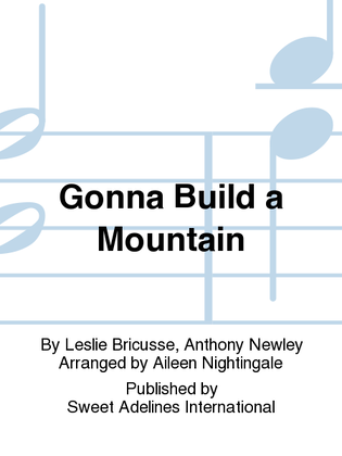 Book cover for Gonna Build a Mountain