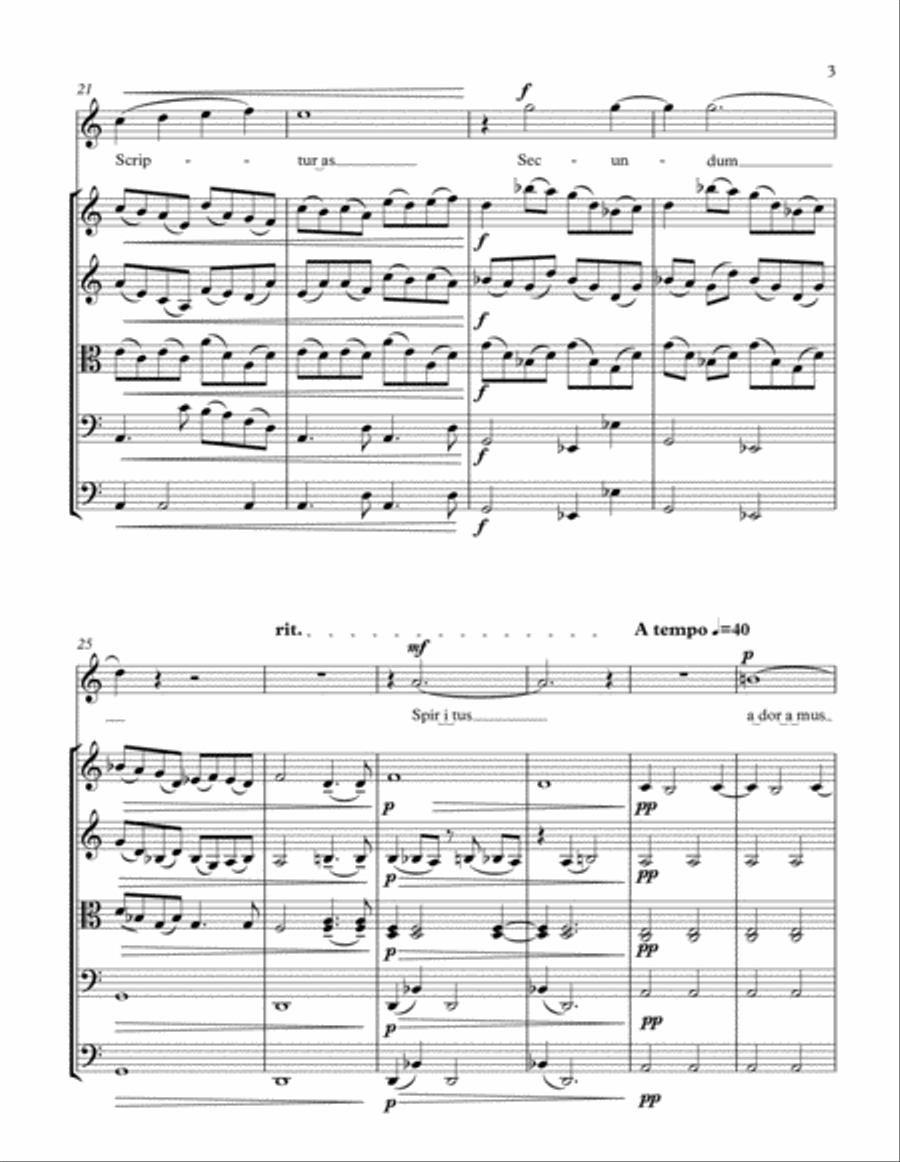 Adoramus (for solo soprano and string orchestra) String Orchestra scores gallery preview page 3