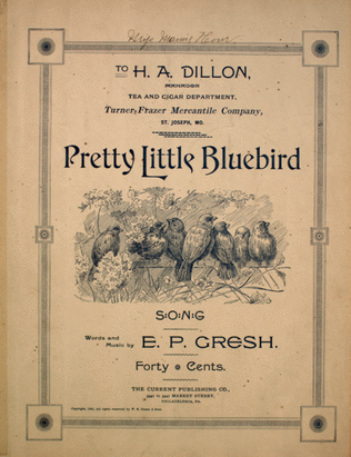 Book cover for Pretty Little Bluebird. Song