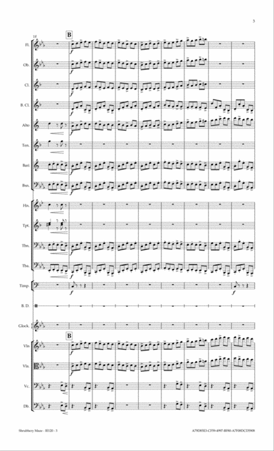 Shrubbery Maze Full Orchestra scores gallery preview page 3