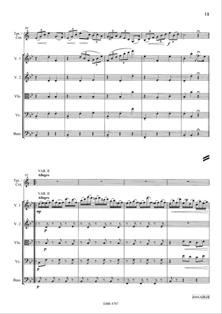 Variations On The Tyrolienne String Orchestra scores gallery preview page 11
