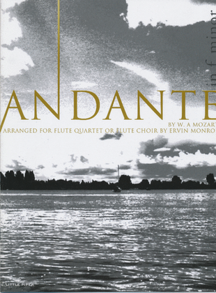 Book cover for Andante in F minor