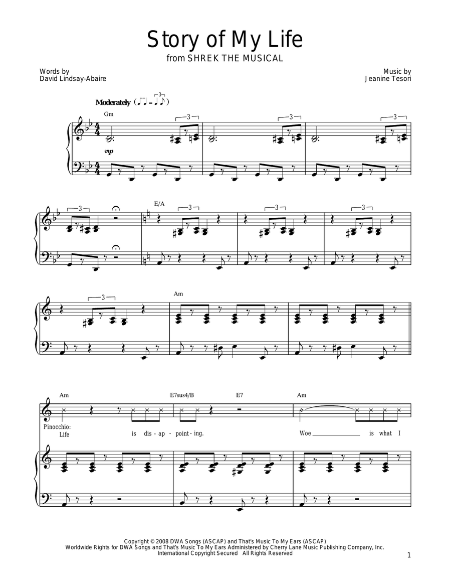 Story Of My Life Piano, Vocal, Guitar scores gallery preview page 1
