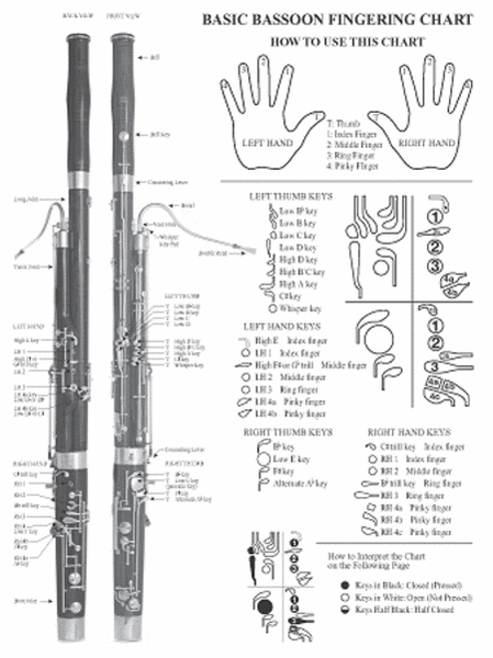 Basic Fingering Chart for Bassoon