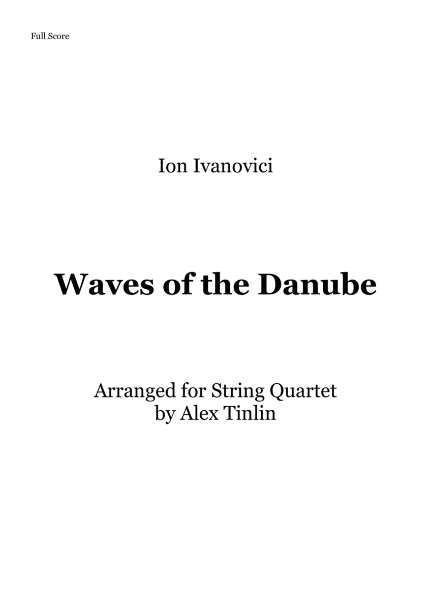 Waves of the Danube image number null