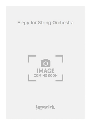 Book cover for Elegy for String Orchestra