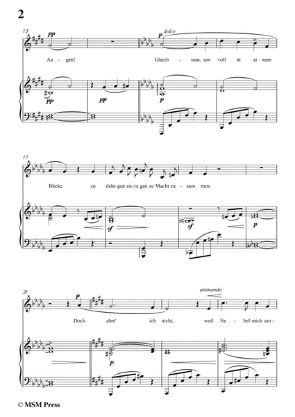 Mahler-Nun seh' ich wohl,warum so dunkle Flammen(Kindertotenlieder Nr. 2) in c sharp minor,for Voice image number null
