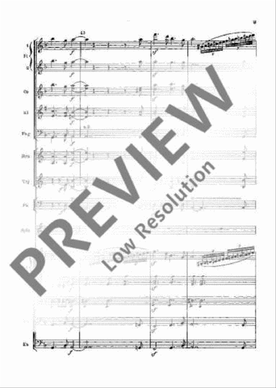 Concerto D Minor Orchestra scores gallery preview page 14
