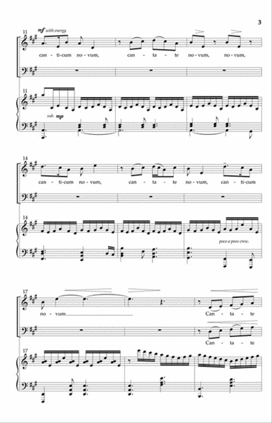 Cantate Canticum Novum 4-Part scores gallery preview page 3