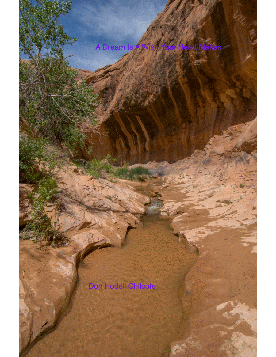 A Dream Is A Wish Your Heart Makes Piano, Vocal, Guitar scores gallery preview page 1