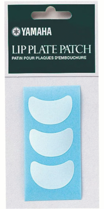 Lip Plate Patch For Flute Set Of 3