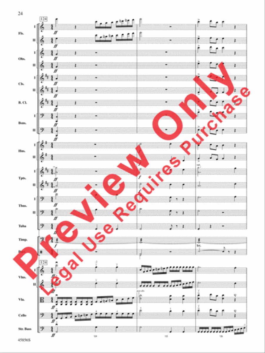 Academic Festival Overture, Op. 80 Full Orchestra scores gallery preview page 24