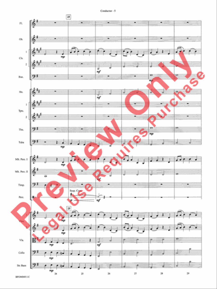 Sleepers Wake (More of the Best of Bach) Full Orchestra scores gallery preview page 7