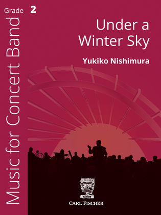 Book cover for Under a Winter Sky