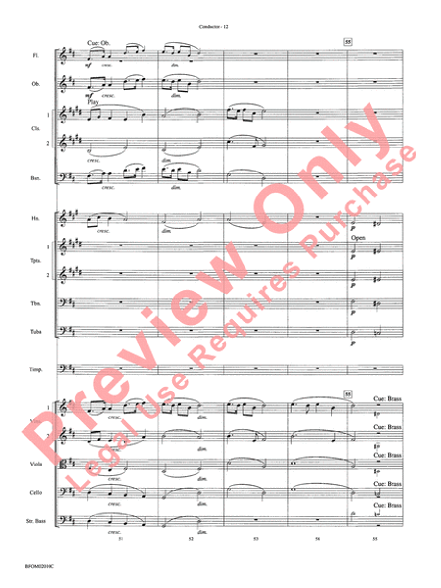 Largo (Going Home from the New World Symphony) Full Orchestra scores gallery preview page 15